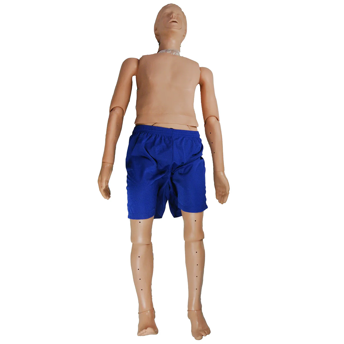 Adult Water Rescue Manikin-Rescue Manikin with CPR - Image 5
